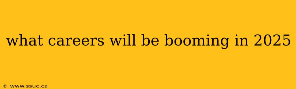 what careers will be booming in 2025