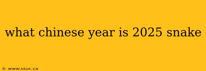 what chinese year is 2025 snake