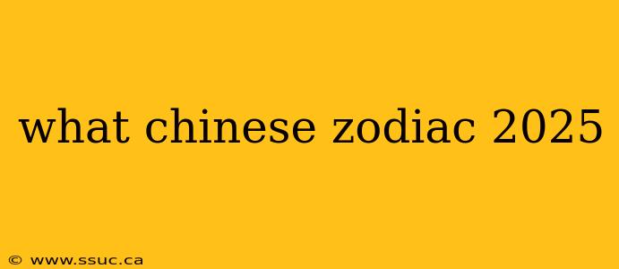 what chinese zodiac 2025