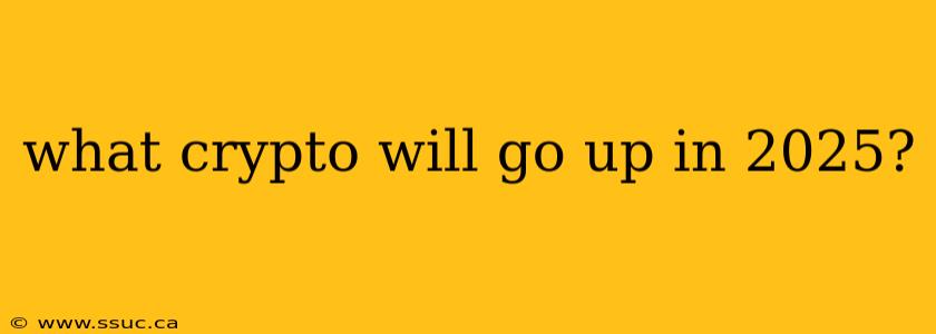 what crypto will go up in 2025?