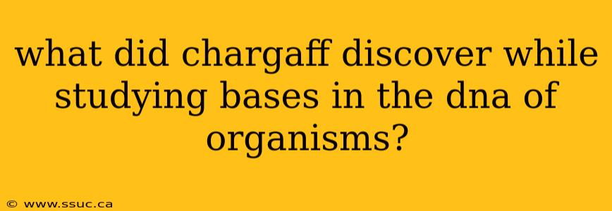 what did chargaff discover while studying bases in the dna of organisms?