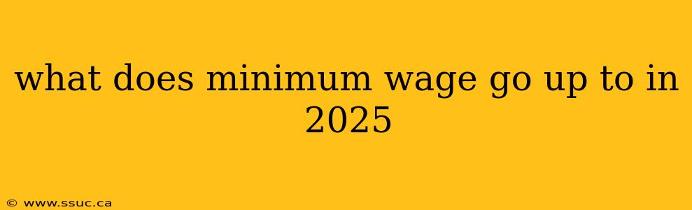 what does minimum wage go up to in 2025