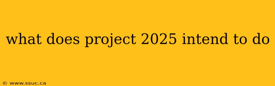 what does project 2025 intend to do
