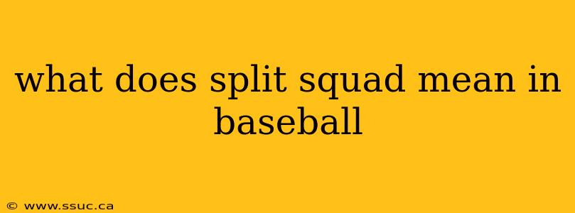 what does split squad mean in baseball