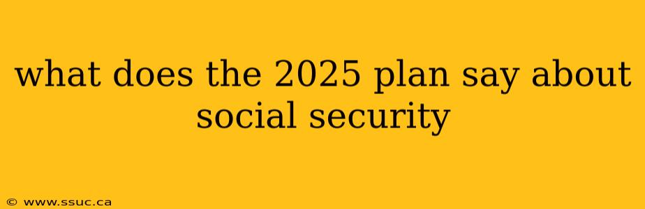 what does the 2025 plan say about social security