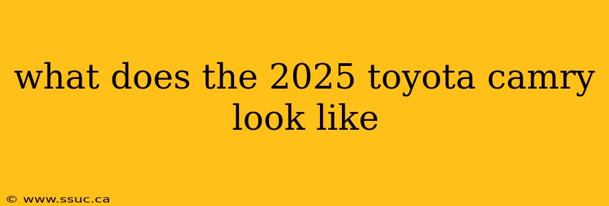 what does the 2025 toyota camry look like