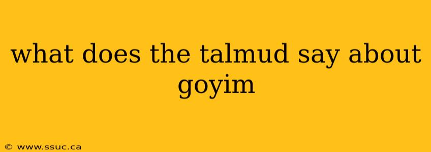 what does the talmud say about goyim