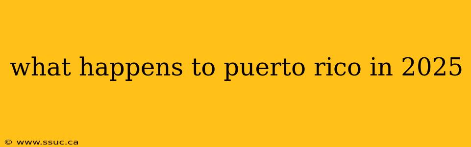 what happens to puerto rico in 2025