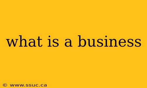 what is a business