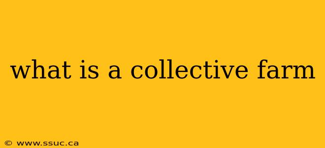what is a collective farm