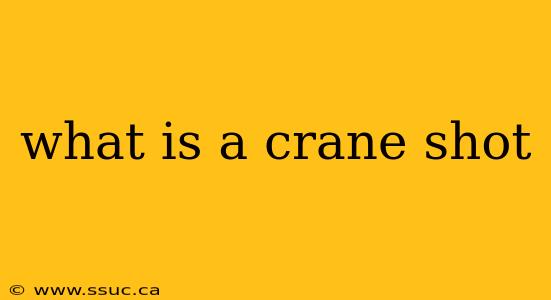what is a crane shot