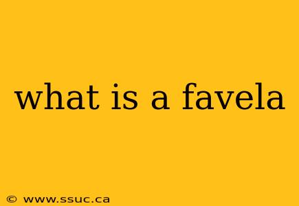 what is a favela