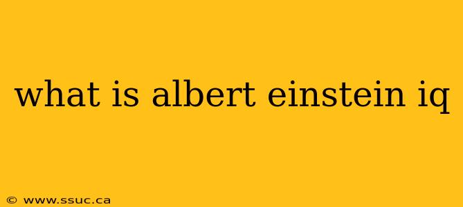 what is albert einstein iq