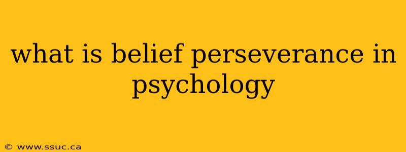 what is belief perseverance in psychology