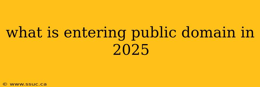what is entering public domain in 2025