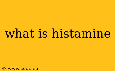 what is histamine