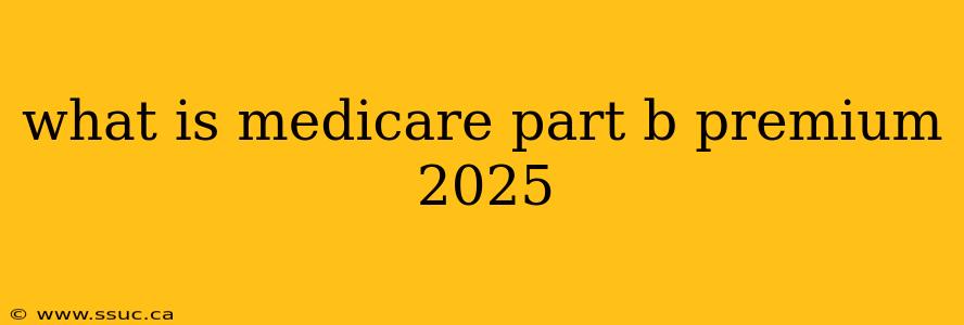 what is medicare part b premium 2025