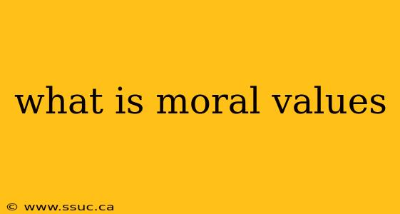 what is moral values