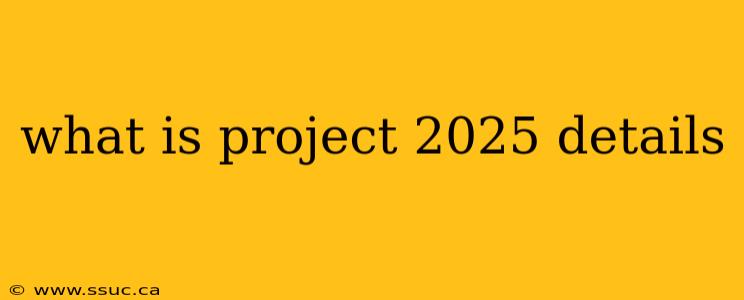 what is project 2025 details