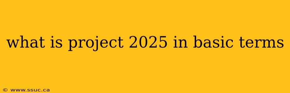 what is project 2025 in basic terms