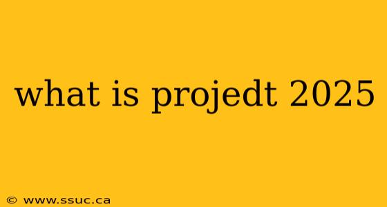what is projedt 2025