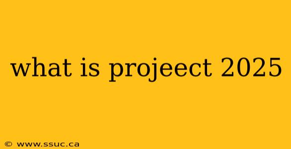 what is projeect 2025