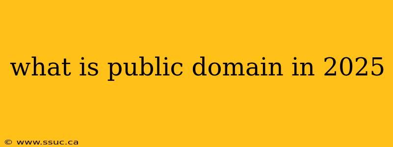 what is public domain in 2025