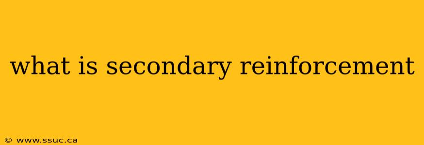 what is secondary reinforcement
