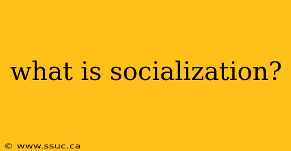 what is socialization?