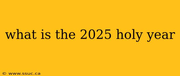 what is the 2025 holy year