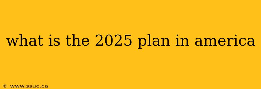 what is the 2025 plan in america