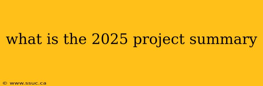 what is the 2025 project summary