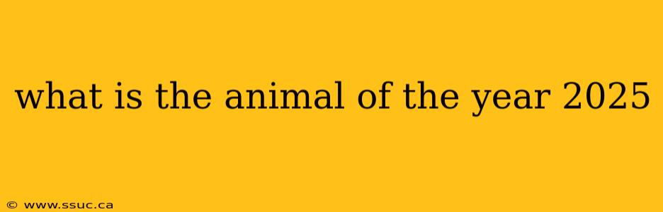 what is the animal of the year 2025