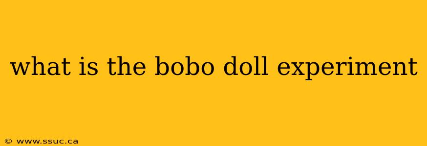 what is the bobo doll experiment