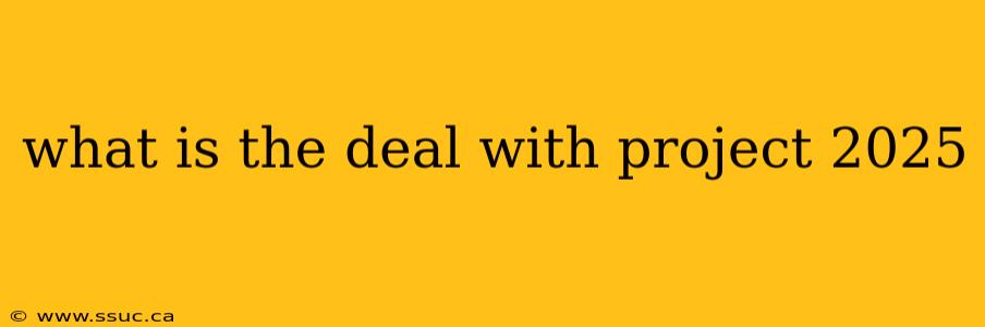 what is the deal with project 2025