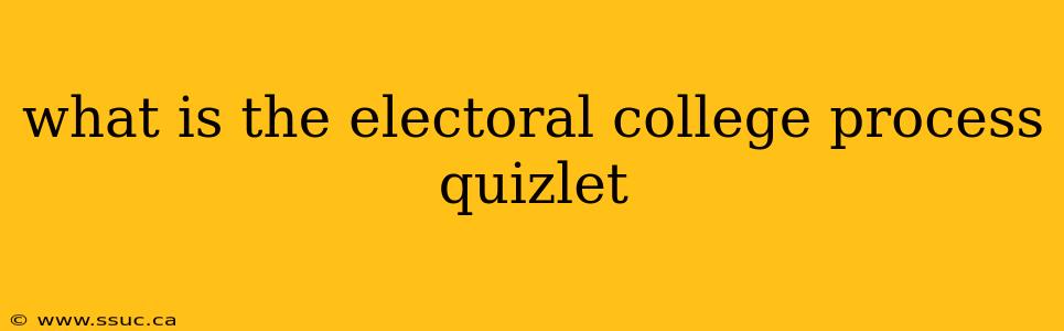 what is the electoral college process quizlet