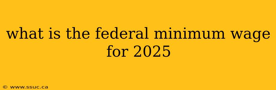 what is the federal minimum wage for 2025