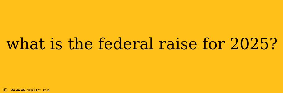 what is the federal raise for 2025?