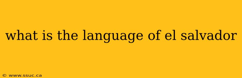 what is the language of el salvador