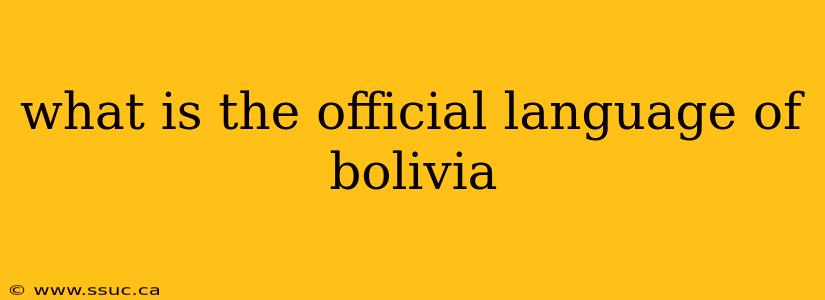 what is the official language of bolivia