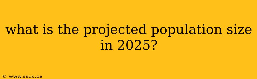 what is the projected population size in 2025?