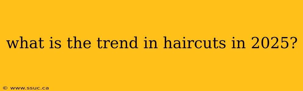 what is the trend in haircuts in 2025?
