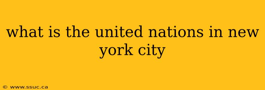 what is the united nations in new york city