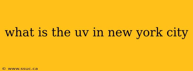 what is the uv in new york city