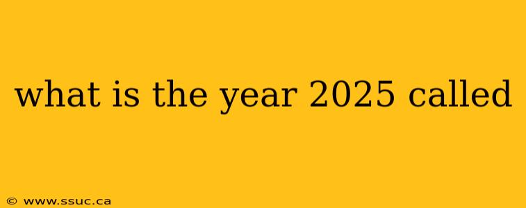 what is the year 2025 called