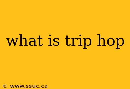 what is trip hop