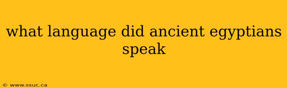what language did ancient egyptians speak