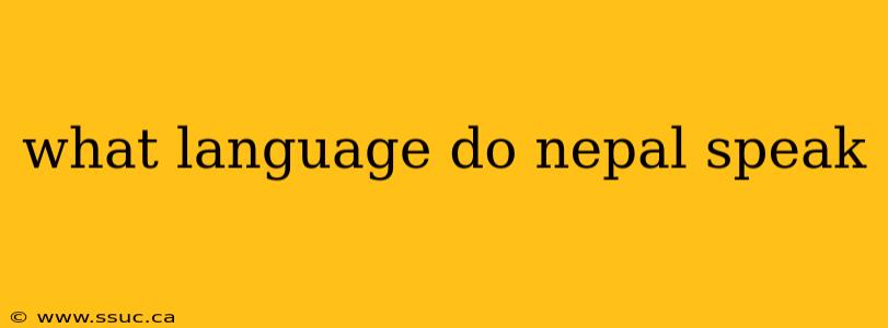 what language do nepal speak