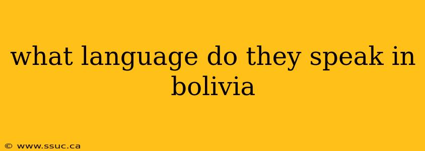 what language do they speak in bolivia