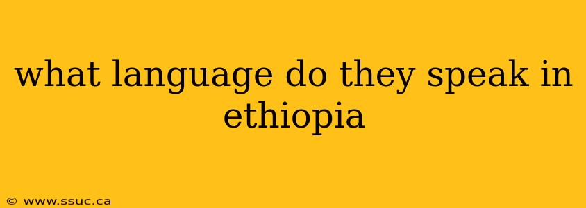 what language do they speak in ethiopia